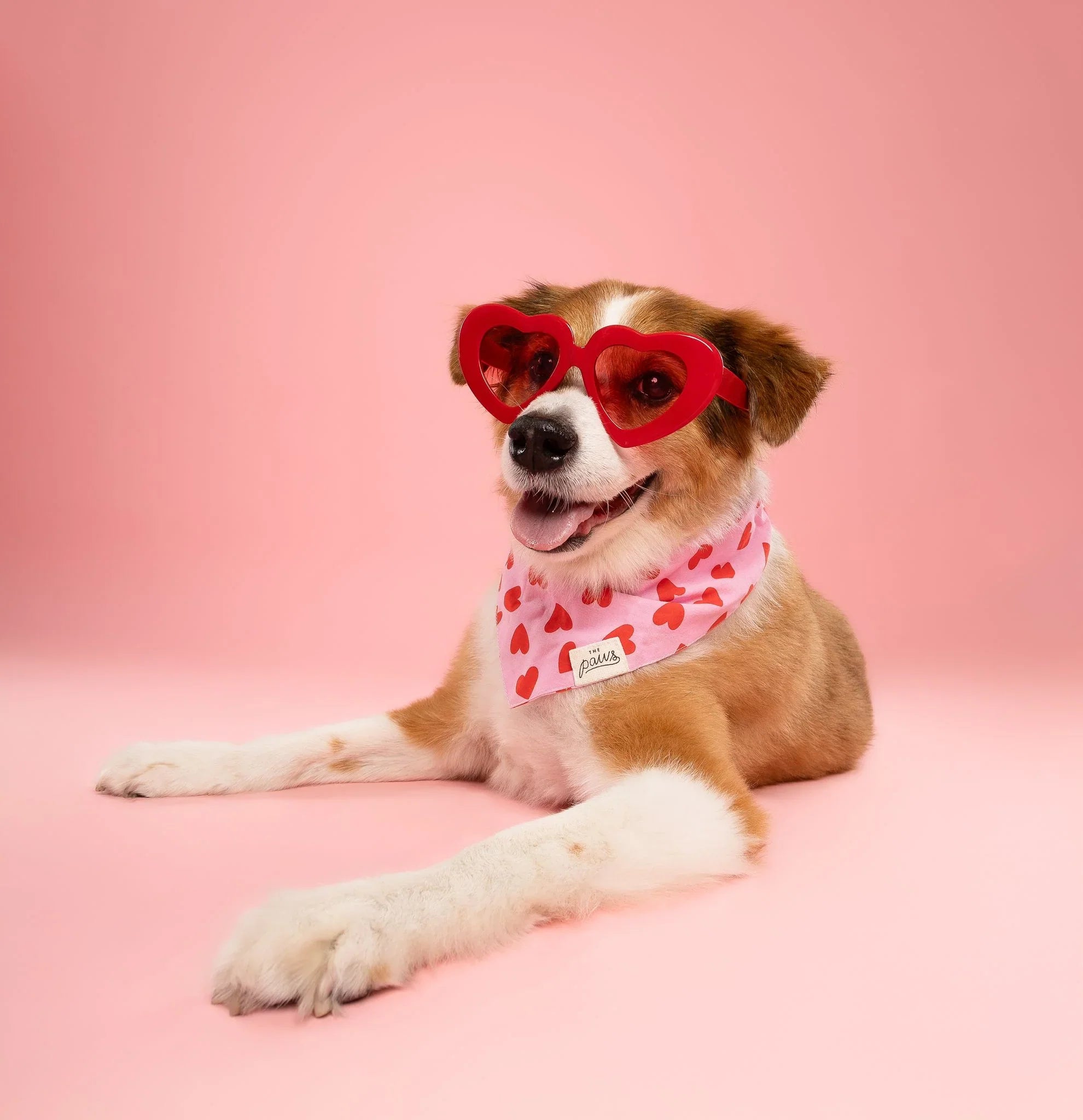 Valenpup’s Collection