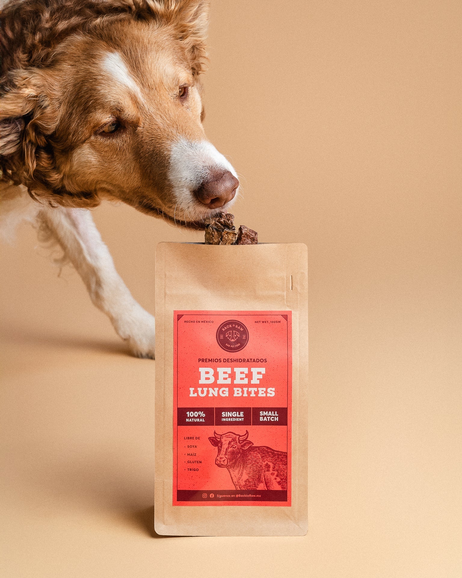 Bites & Chips (Promo 30% Off)