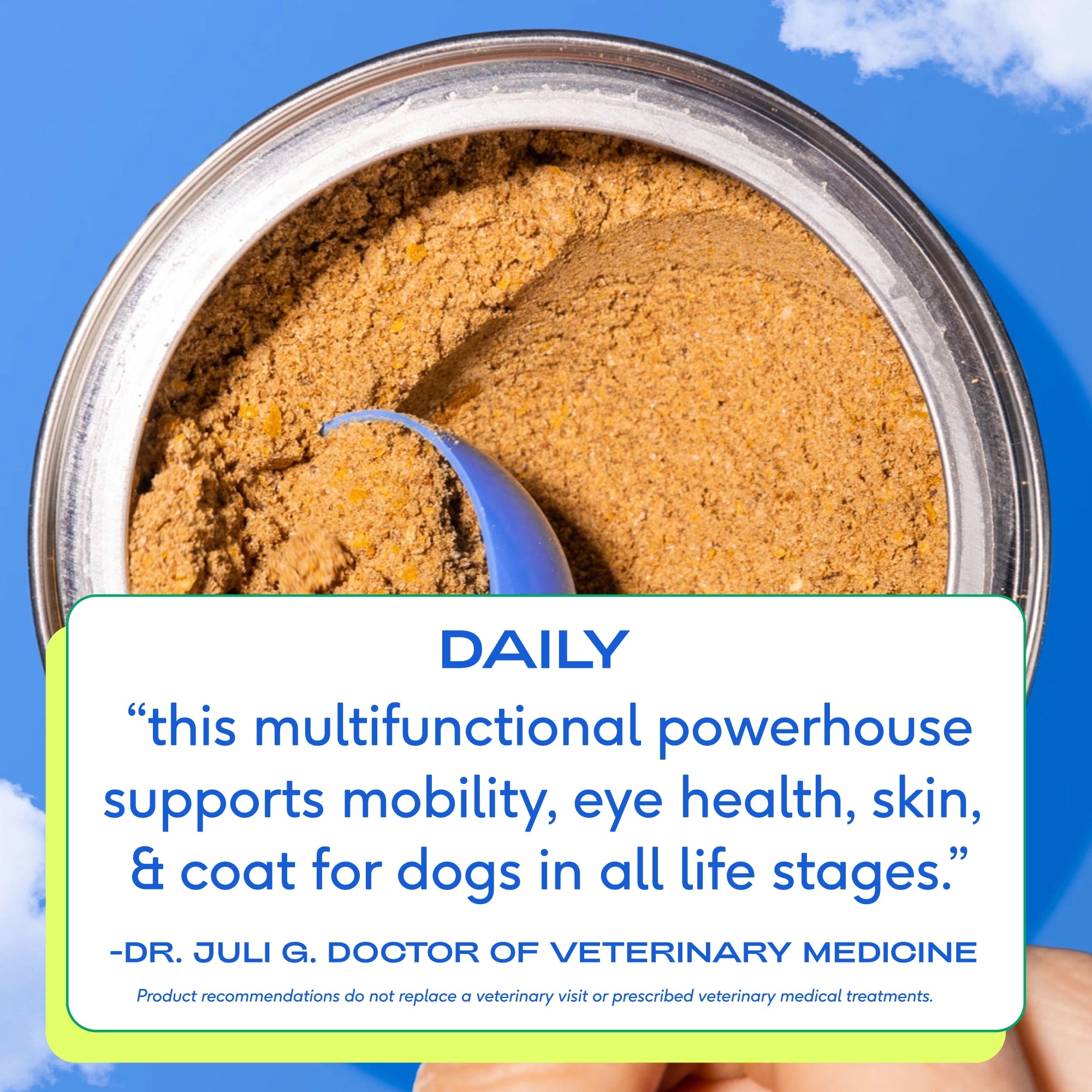 The Daily Supplement