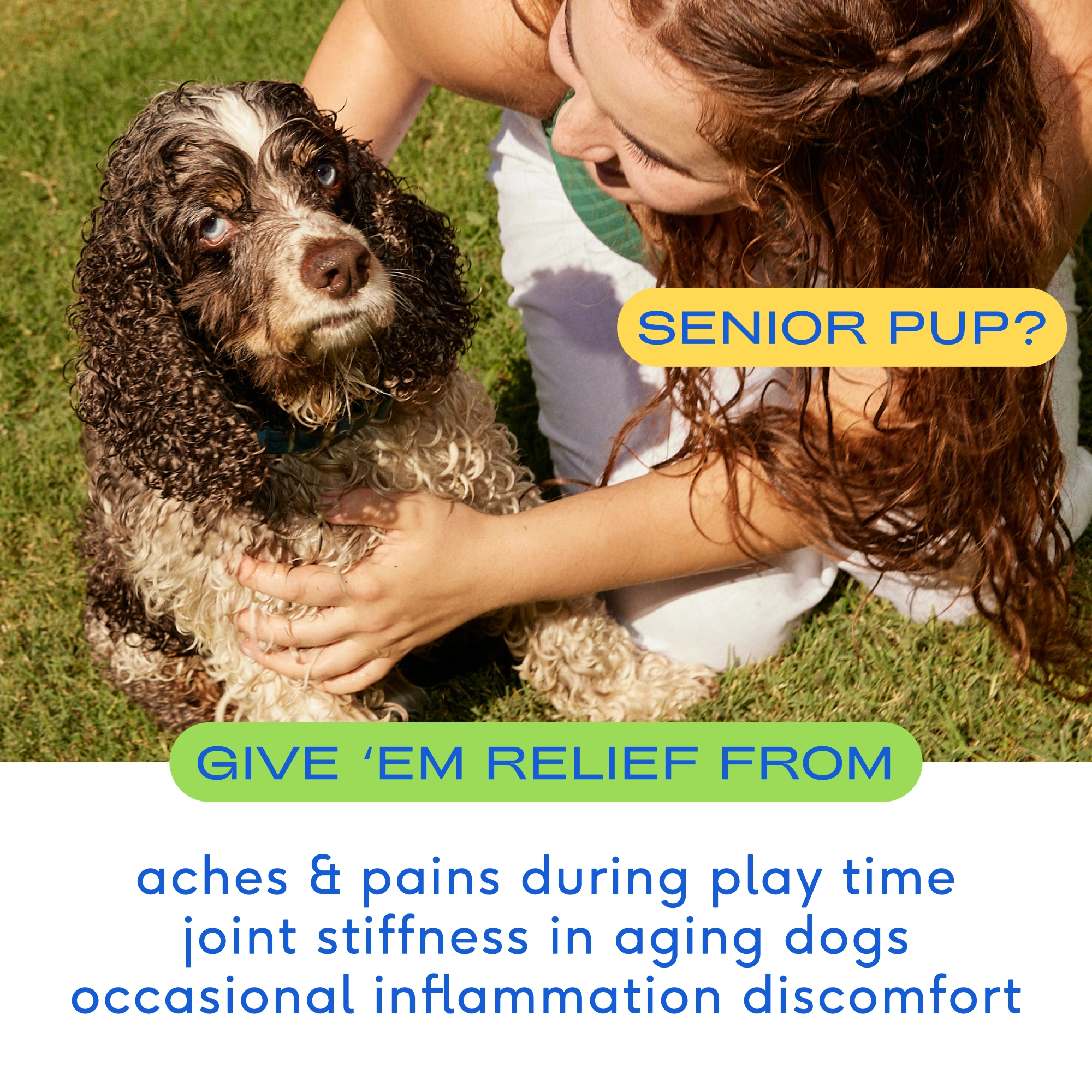 Relief Chews