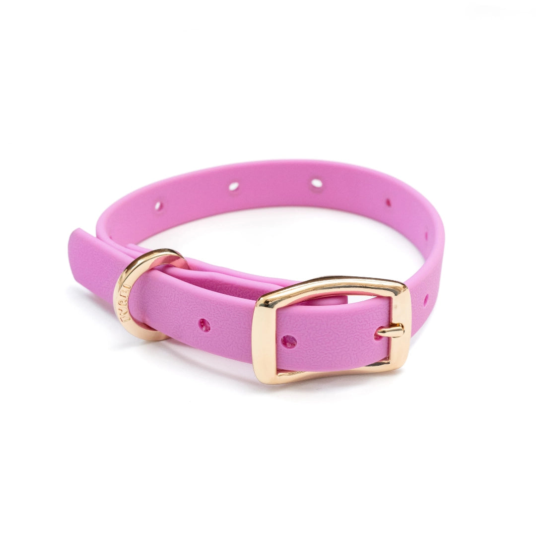 Moodies Collar