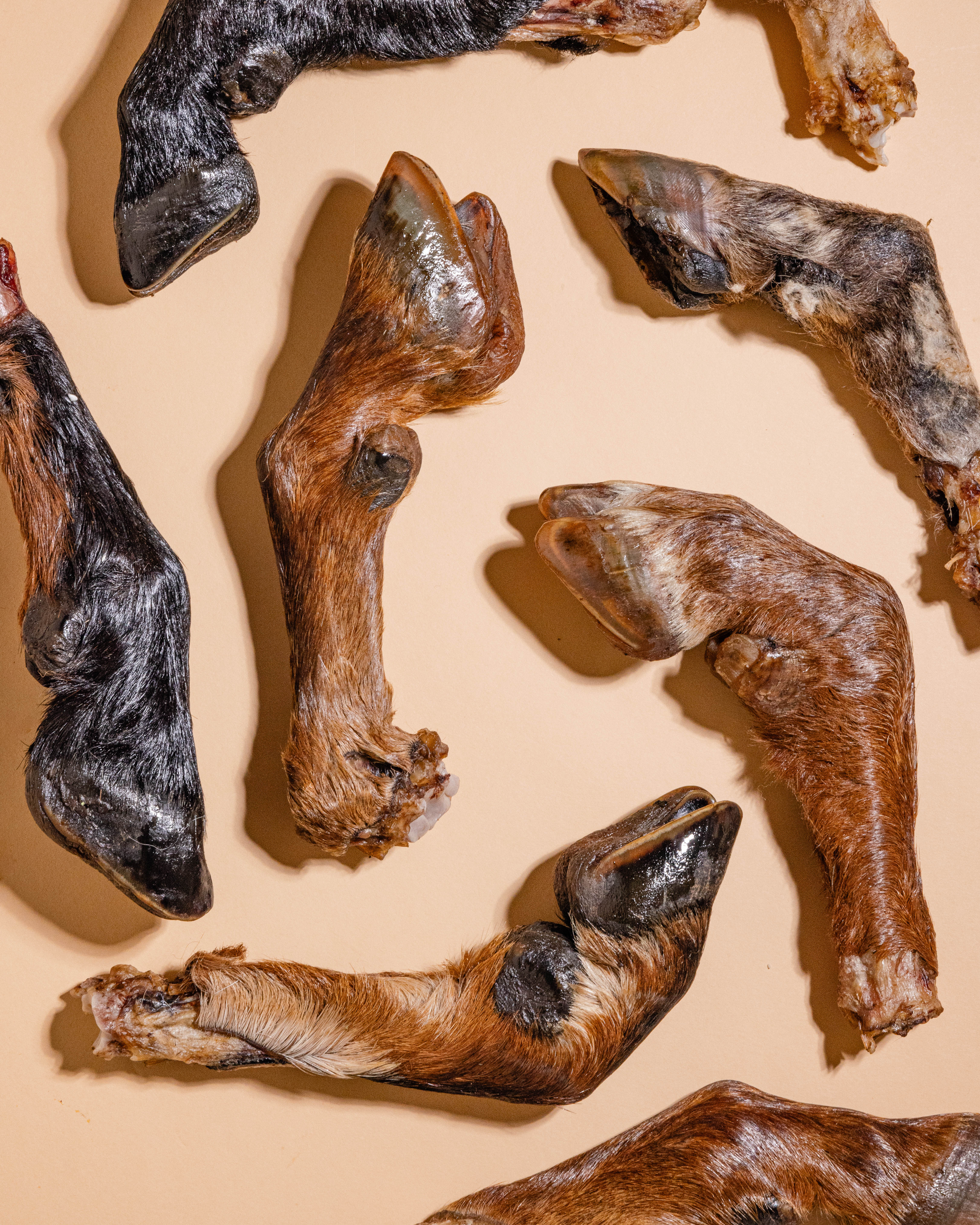 Air-Dried Goat Foot