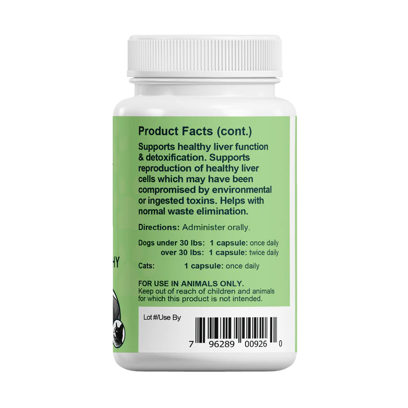 Milk Thistle Herbal Capsules | Liver Support