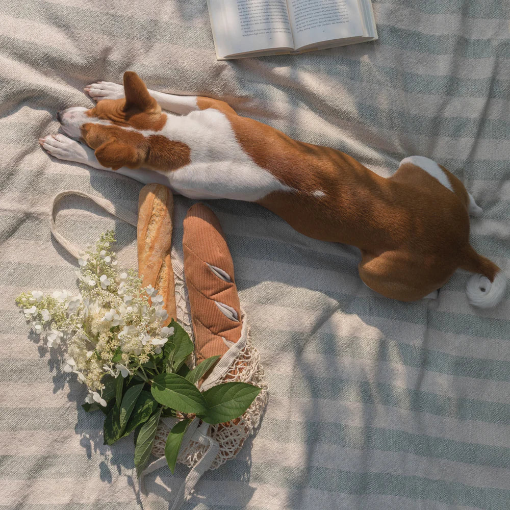 Baguette