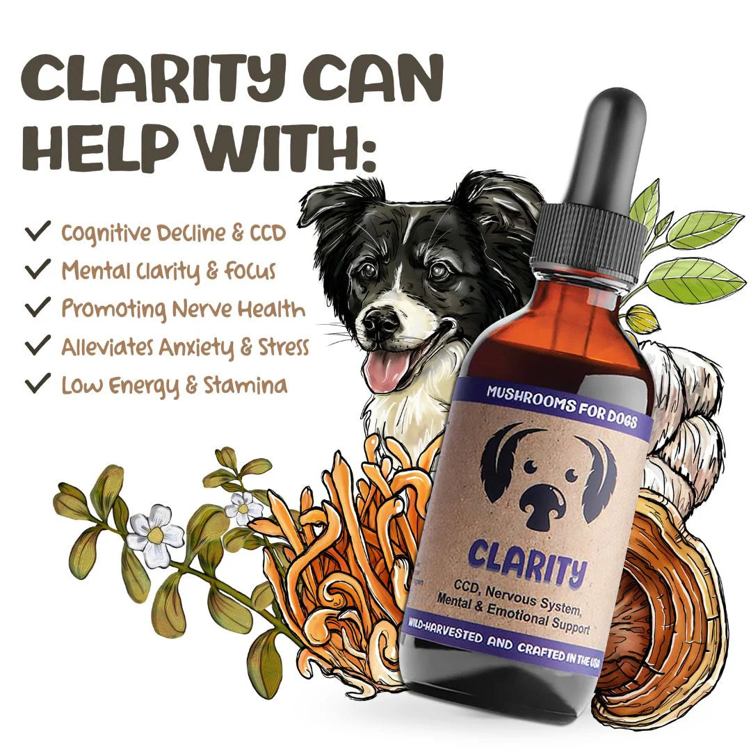 MycoDog Clarity