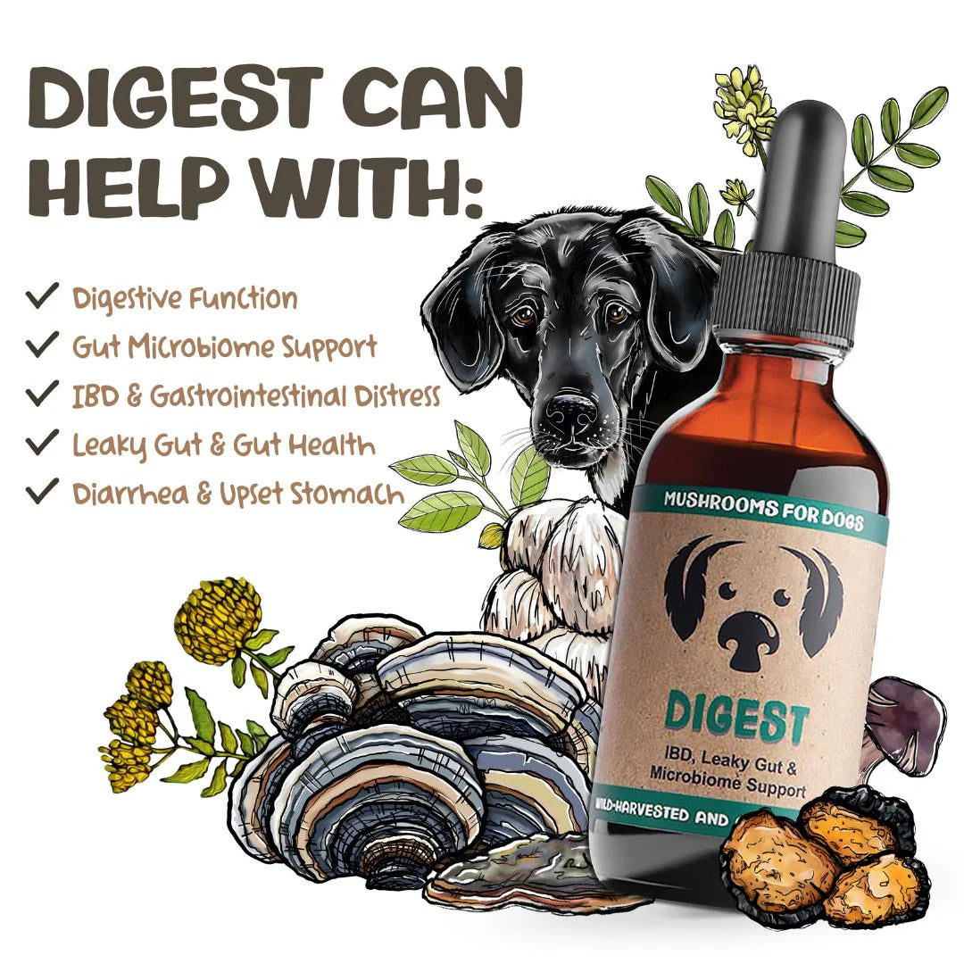 Digest MycoDog