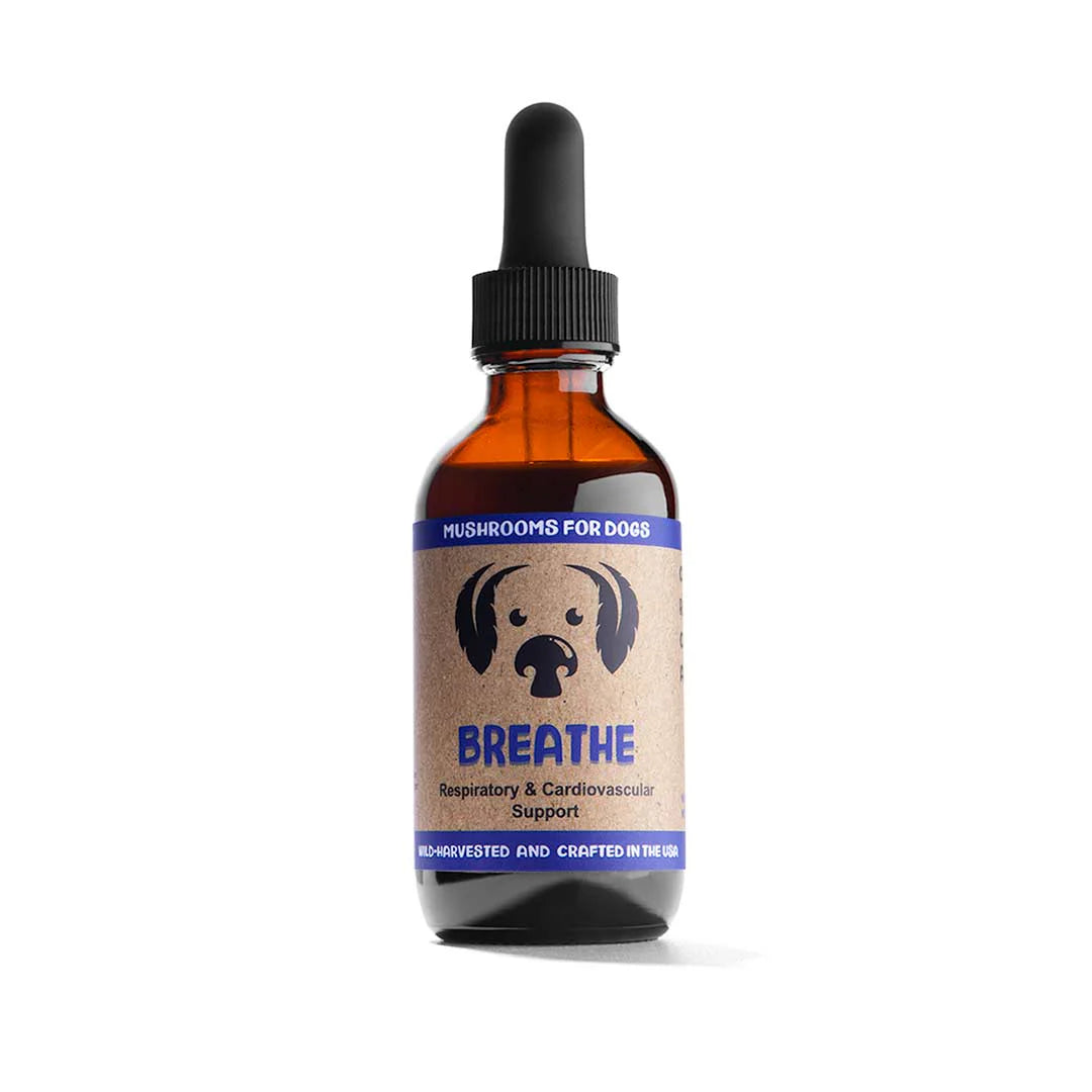 MycoDog Breathe