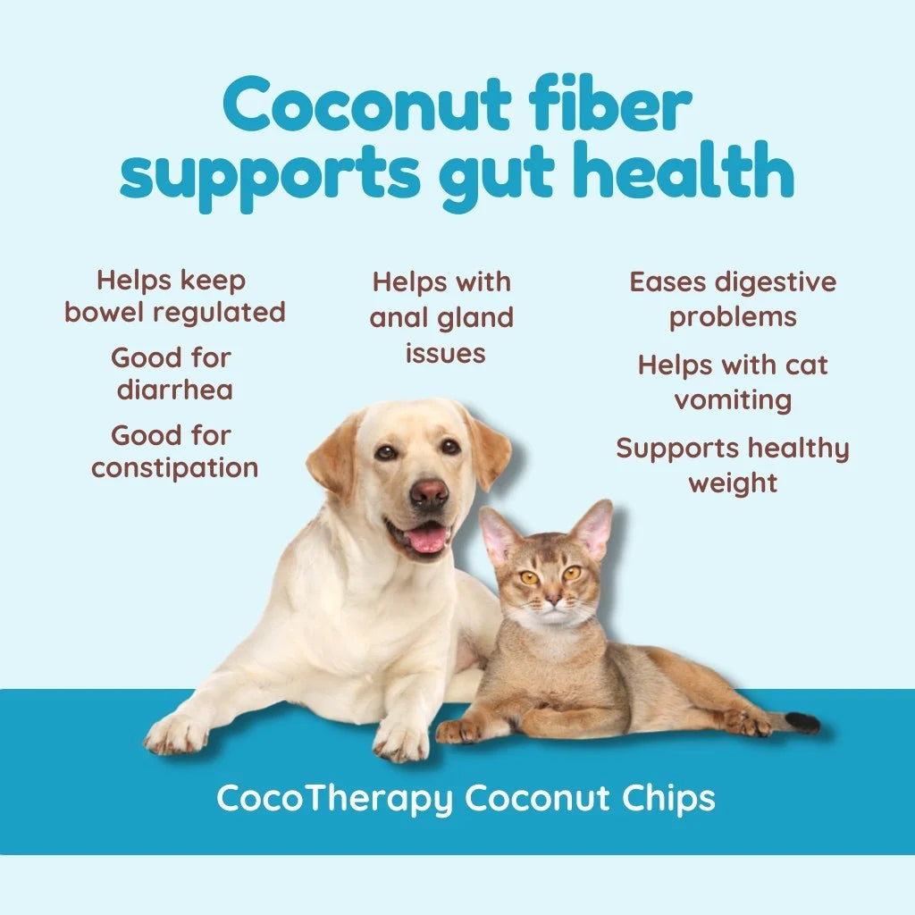 Coconut Chips
