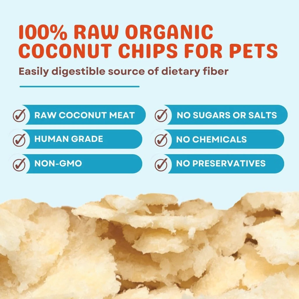 Coconut Chips