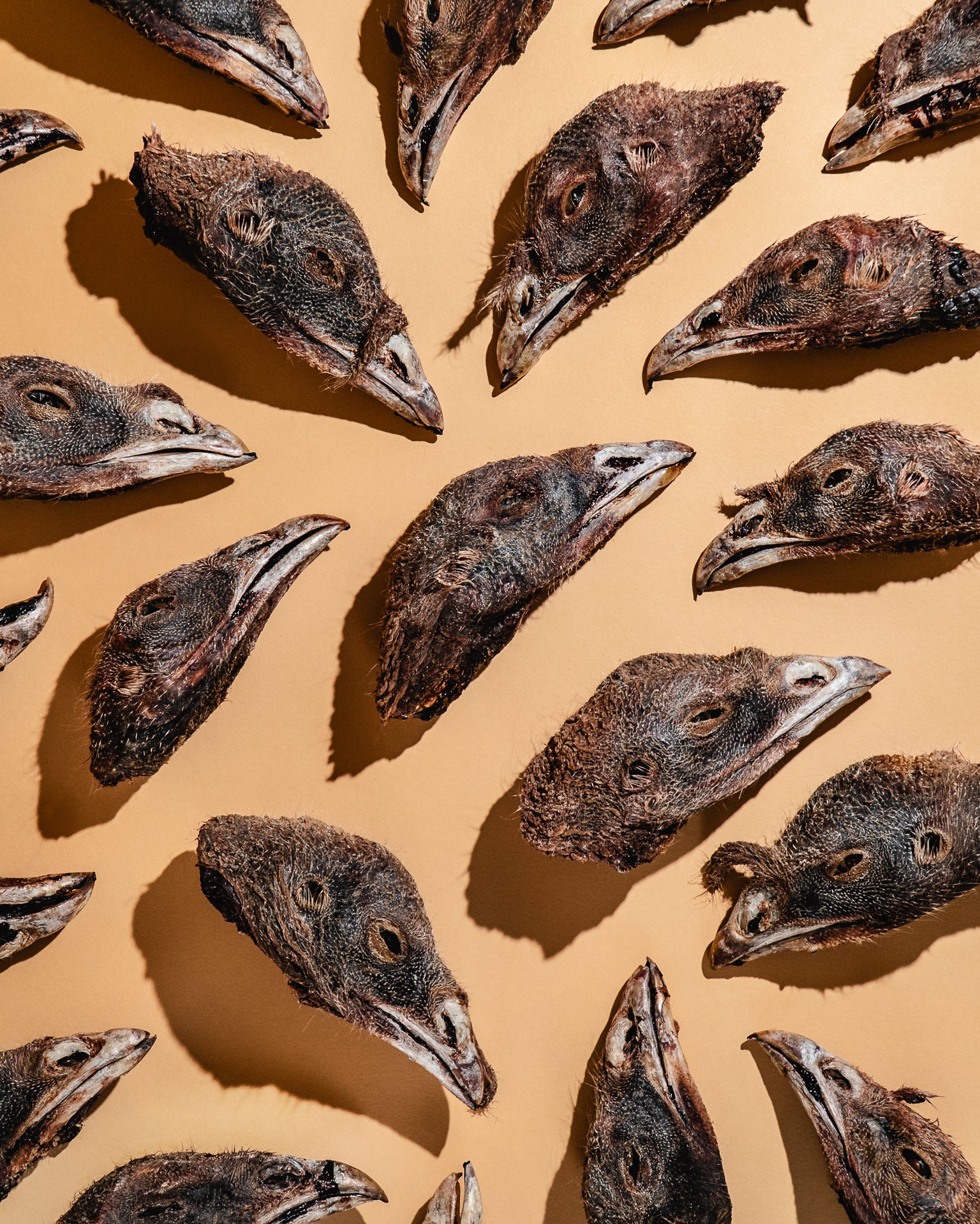 Air-Dried Heads