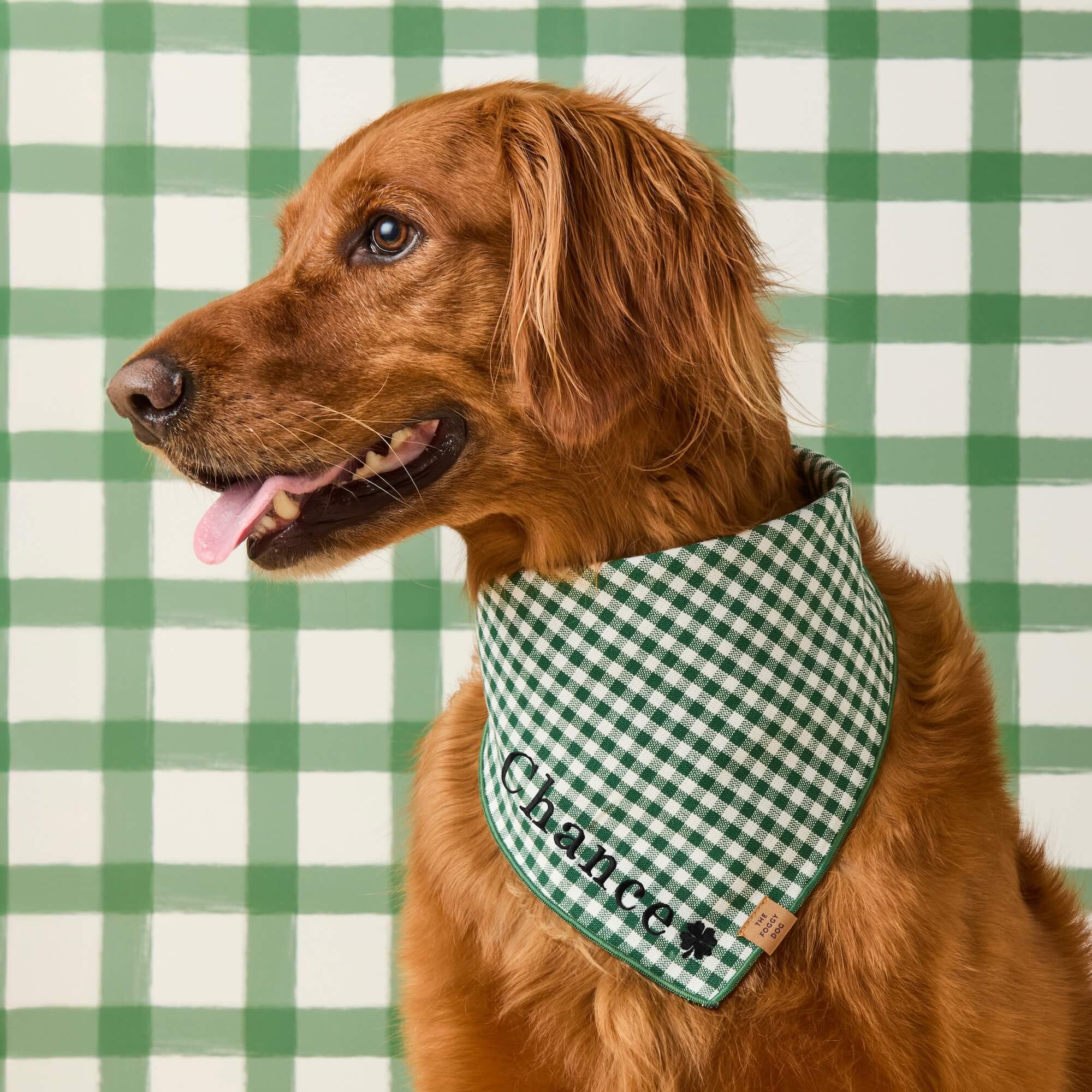Evergreen Gingham Dog Bandana