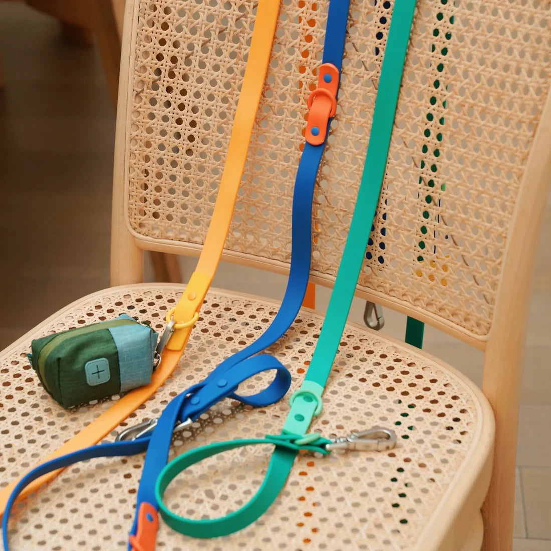 Fritz Collar + Leash Walk Set