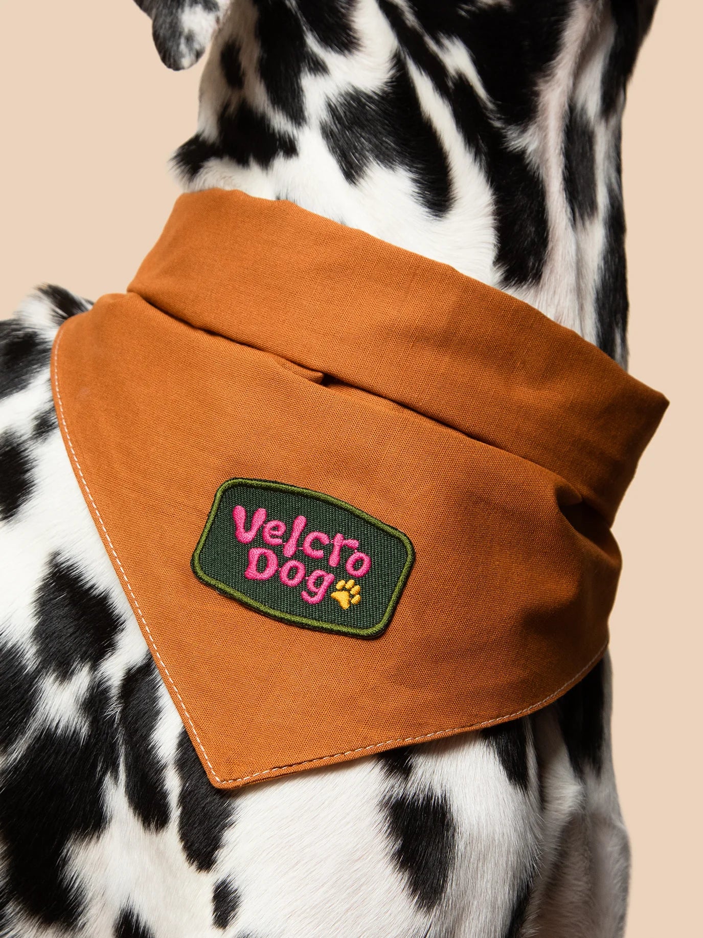 Velcro Dog (iron-on patch)