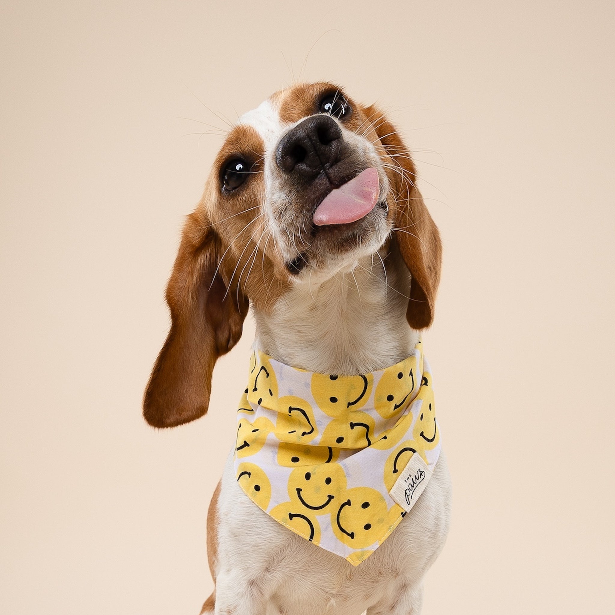 Smile Dog Bandana