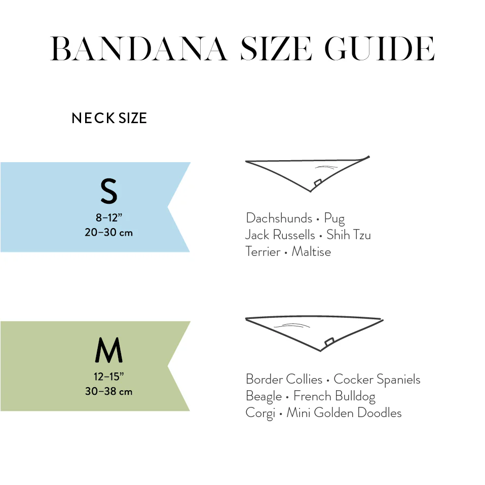 Spiders Dog Bandana