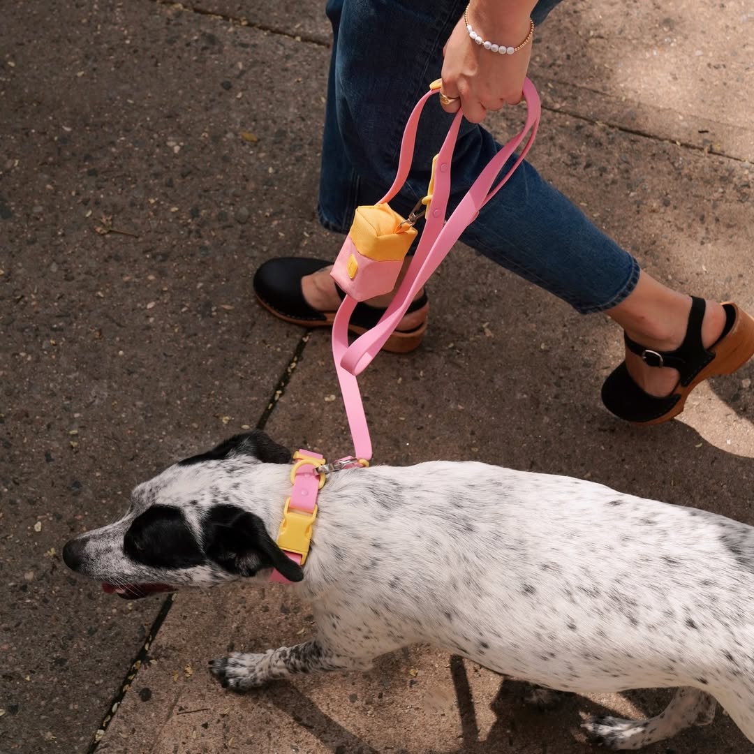 Fritz Collar + Leash Walk Set