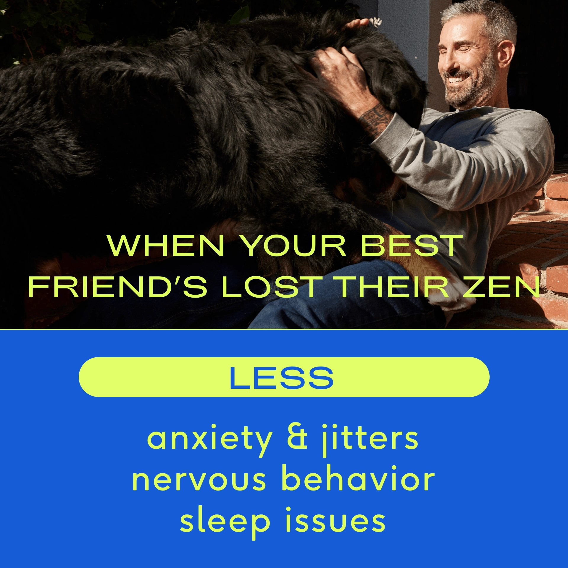 Calm Chews