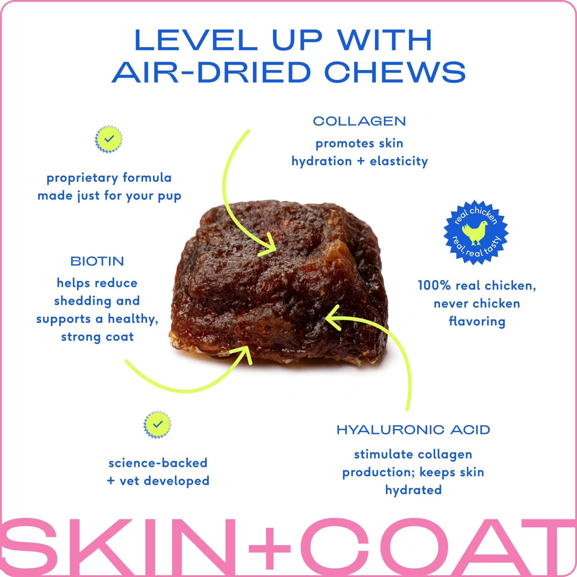 Skin + Coat