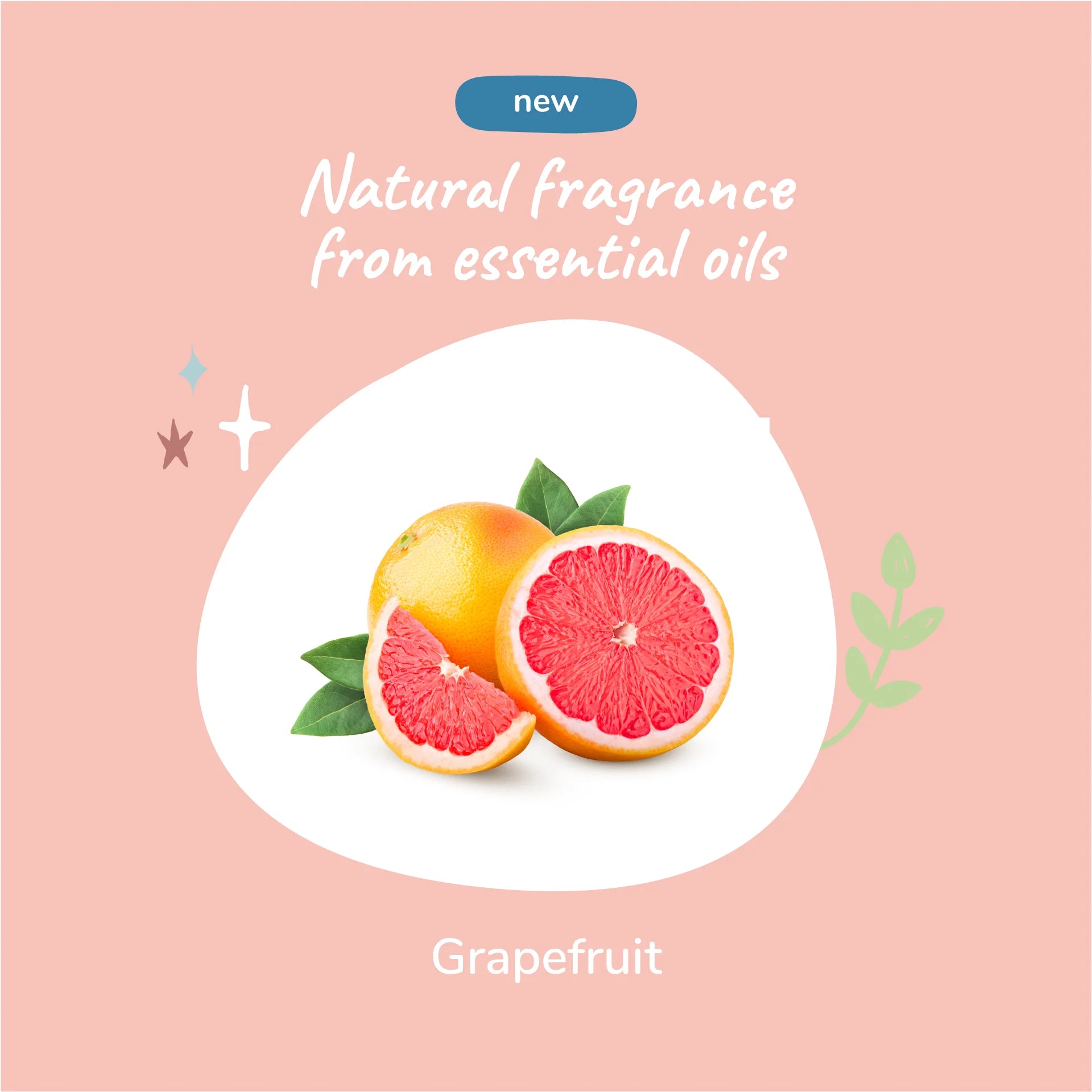 Dog Smell Coat Spray Conditioner (Grapefruit)