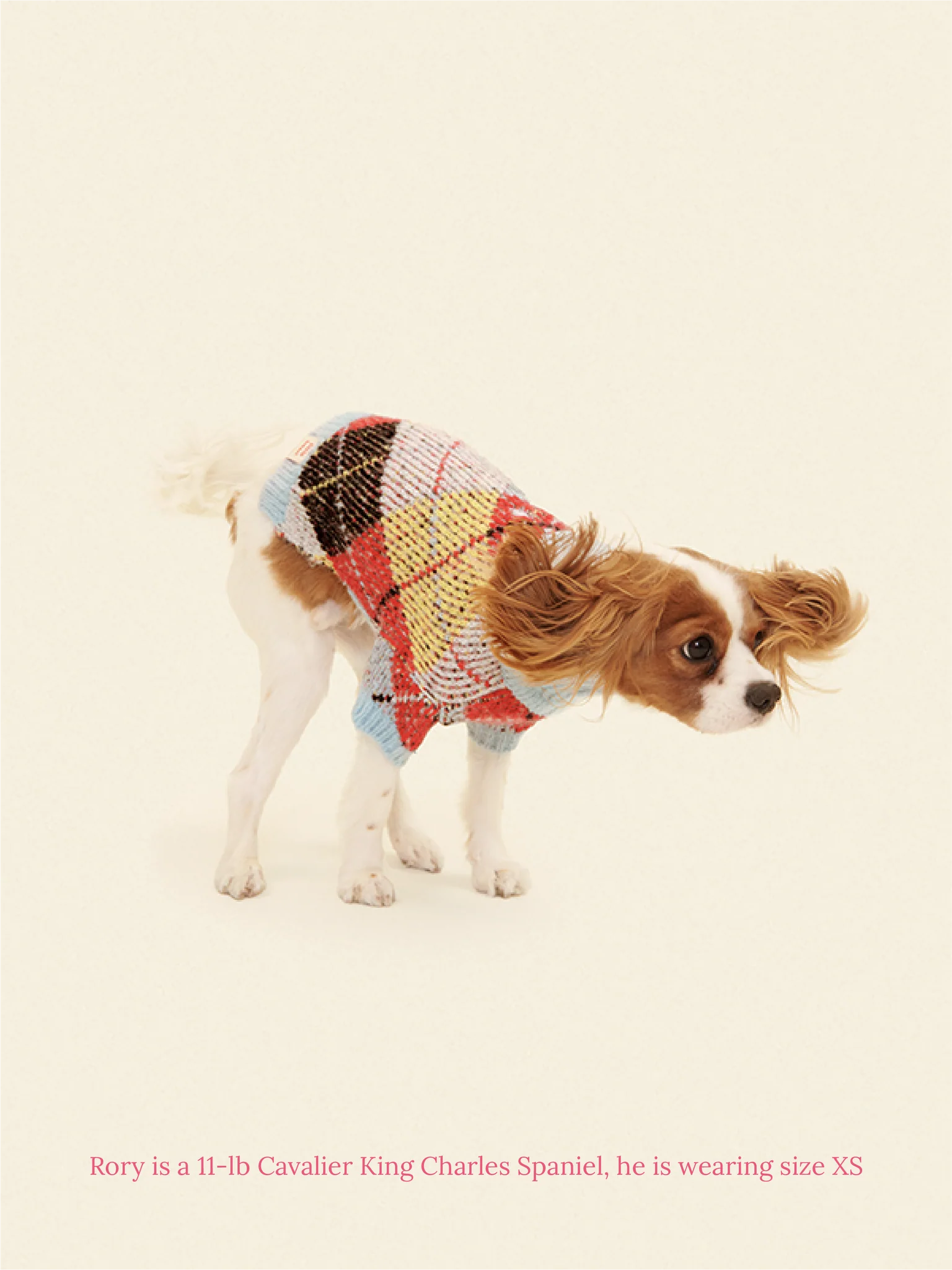 Lauda Cardi Cirque Sweater x Lisa Says Gah