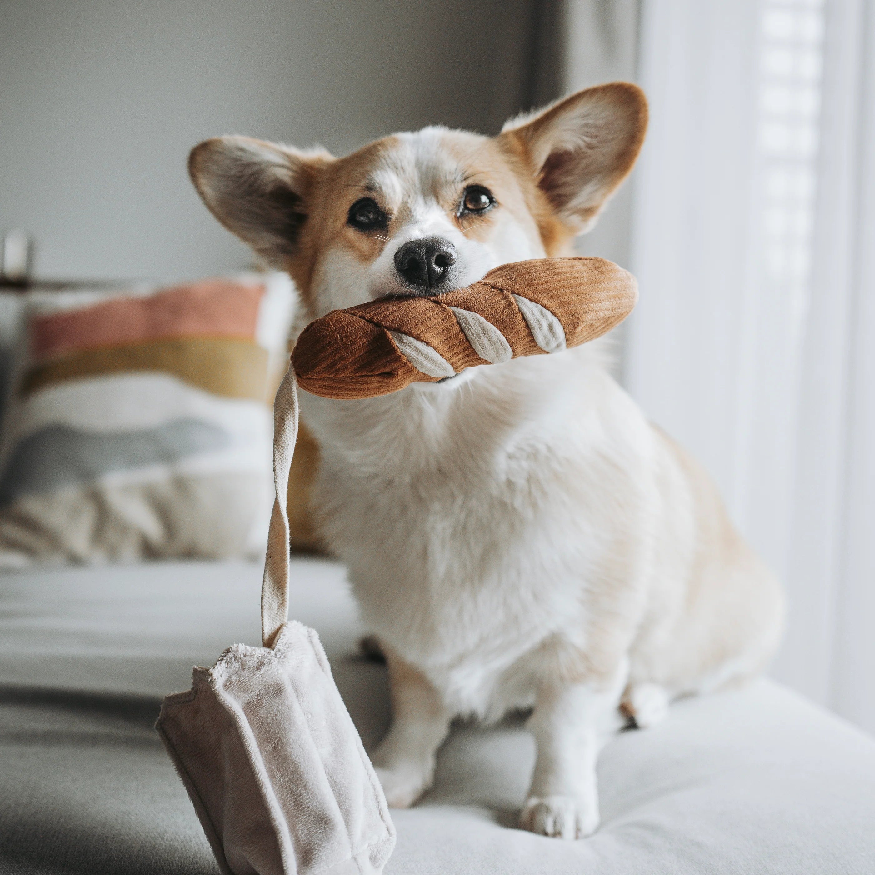 Baguette