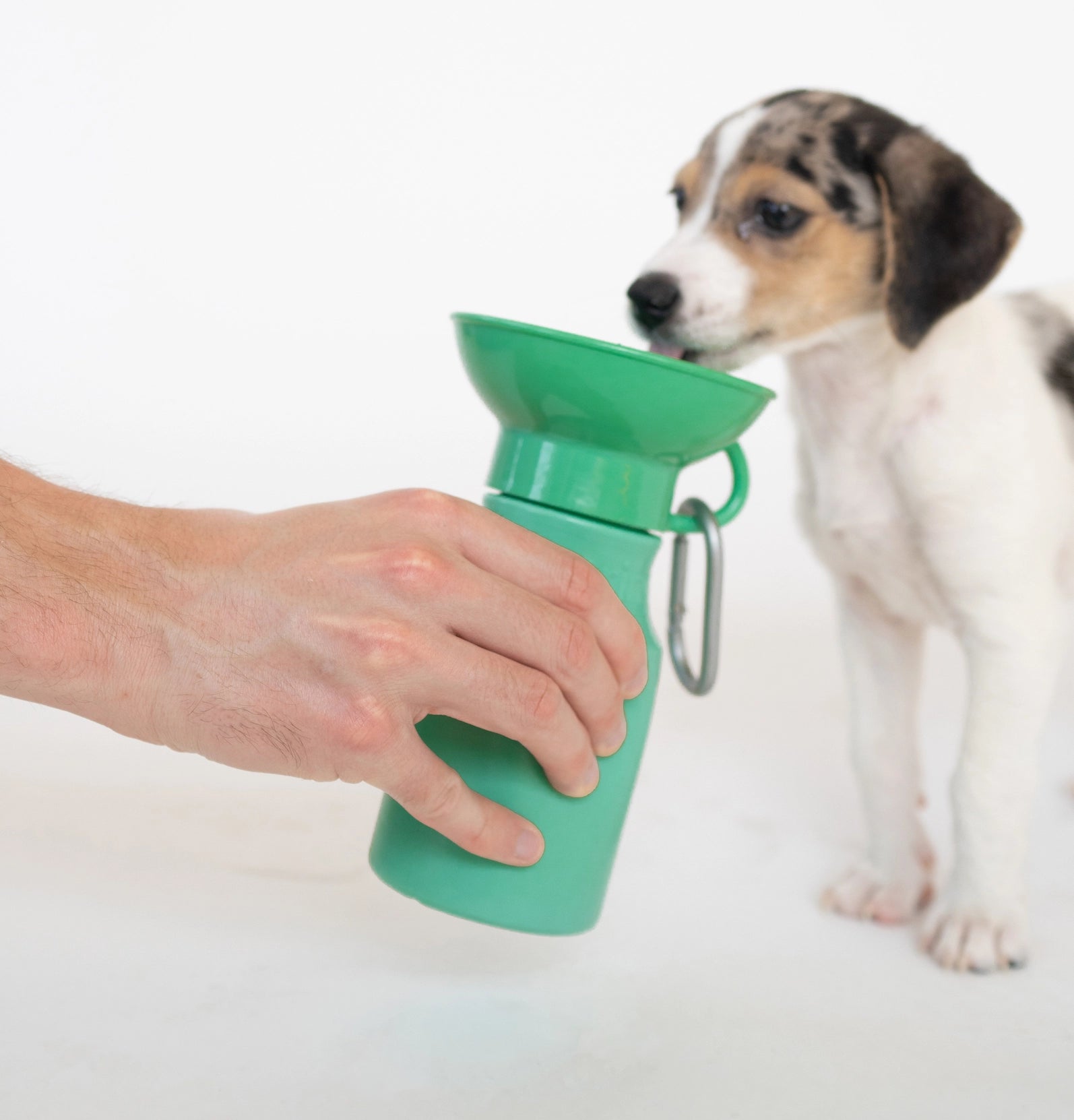 Mini Dog Travel Bottle