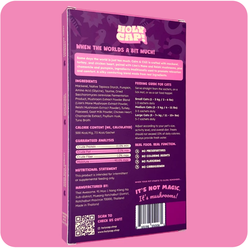 2_26032323-f943-448a-b67b-08373619305d.webp