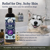 CALM Organic Lavender Dog Shampoo with Calendula & St. John's Wort