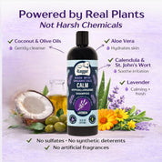 CALM Organic Lavender Dog Shampoo with Calendula & St. John's Wort