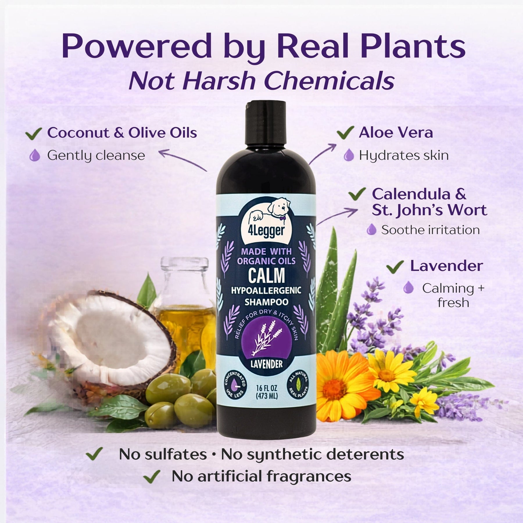 CALM Organic Lavender Dog Shampoo with Calendula & St. John's Wort