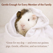 Organic Cedar Dog Shampoo — Natural Flea Defense
