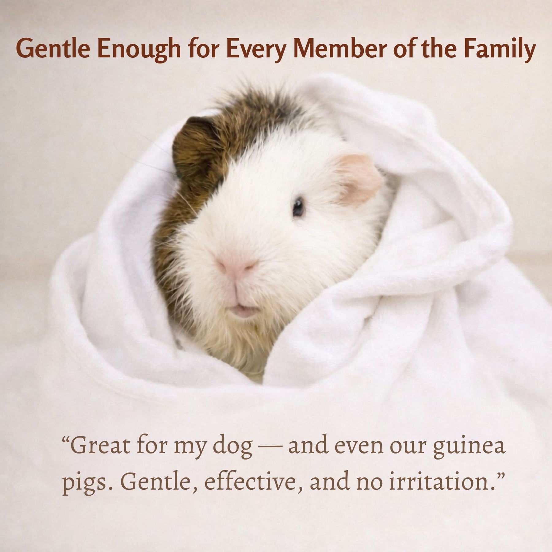 Organic Cedar Dog Shampoo — Natural Flea Defense