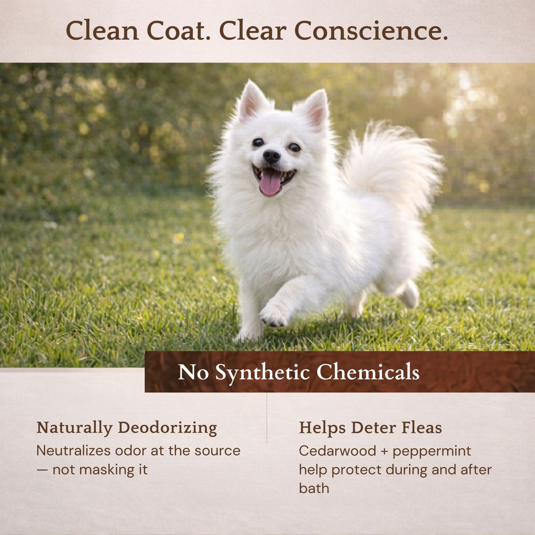 Organic Cedar Dog Shampoo — Natural Flea Defense