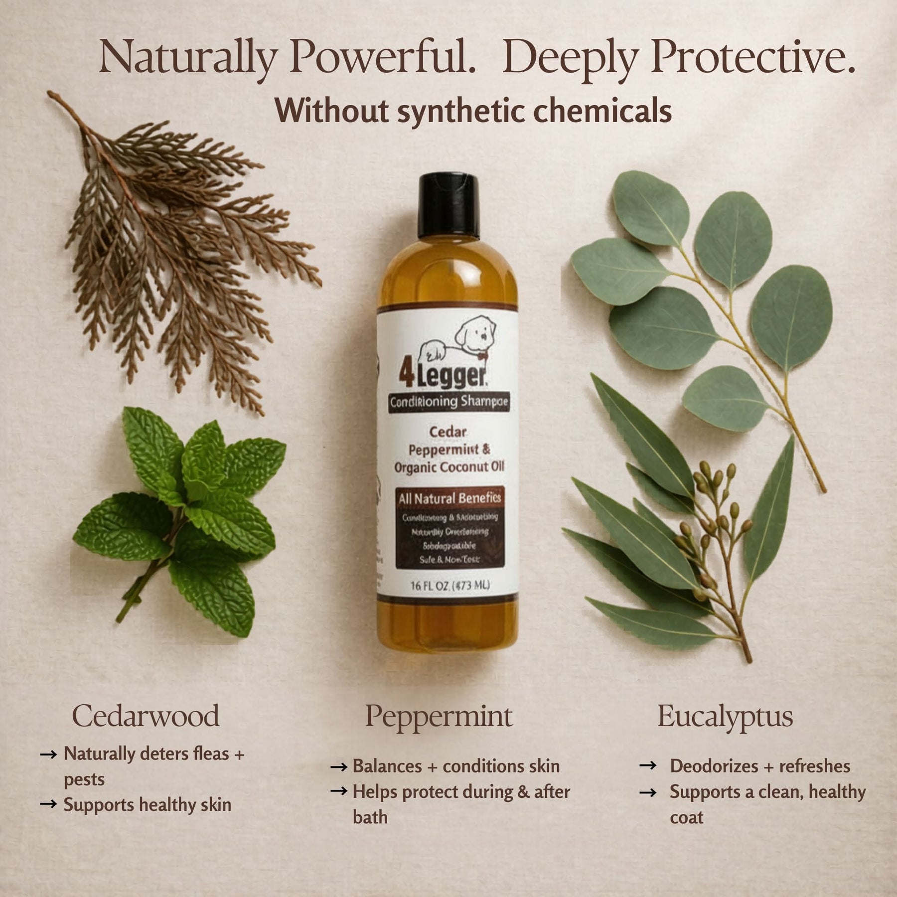 4-legger-food-grade-usda-organic-dog-shampoo-organic-cedar-dog-shampoo-flea-defense-1230342063-1800x1800.jpg