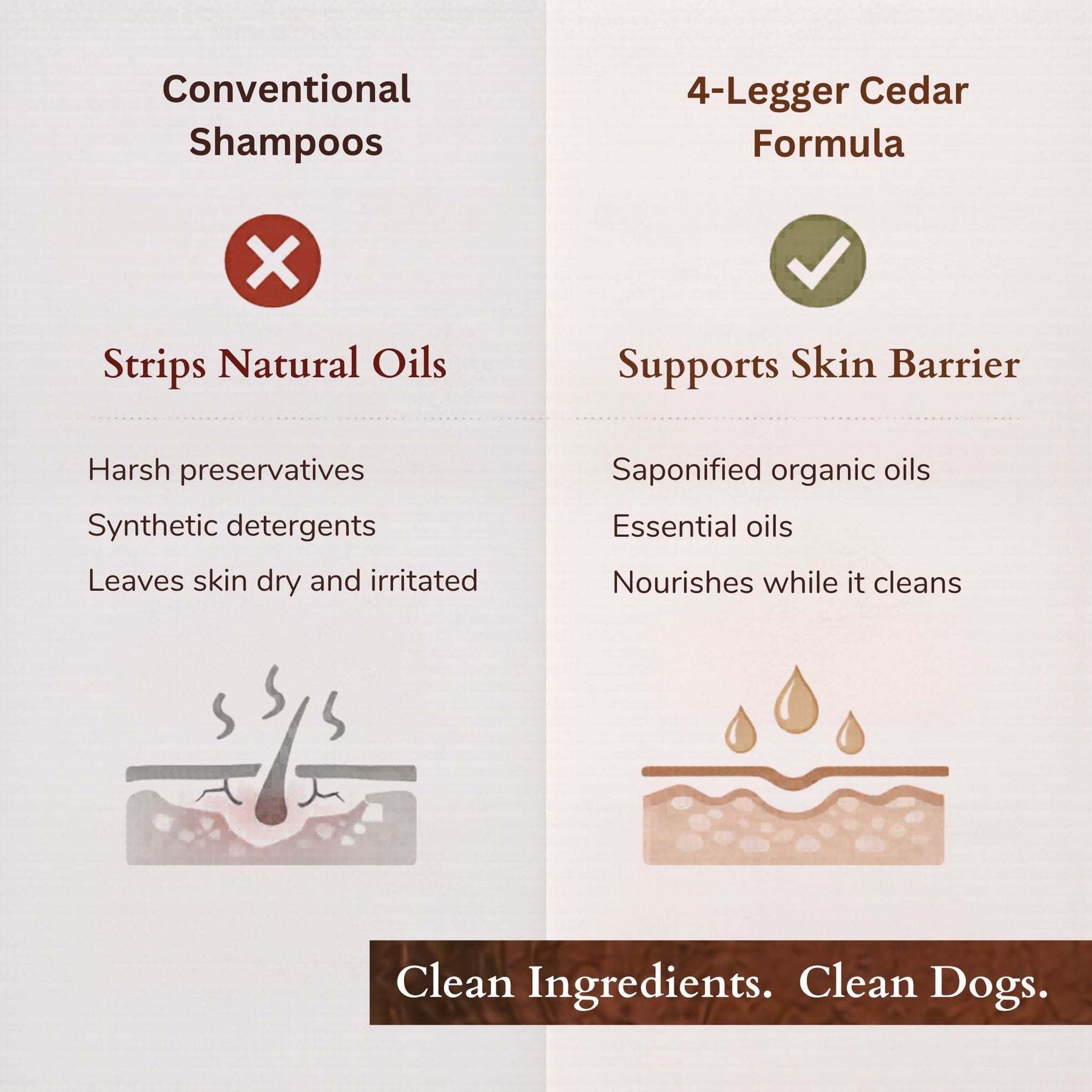 Organic Cedar Dog Shampoo — Natural Flea Defense