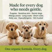 Organic Lemongrass & Aloe Hypoallergenic Dog Shampoo