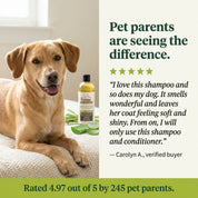 Organic Lemongrass & Aloe Hypoallergenic Dog Shampoo