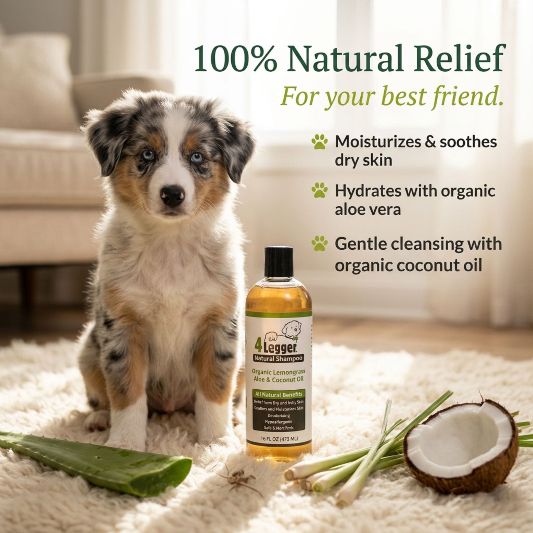 Organic Lemongrass & Aloe Hypoallergenic Dog Shampoo