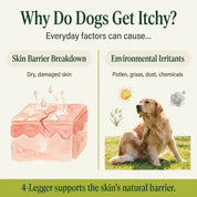 Organic Oatmeal Dog Shampoo with Lavender & Aloe for Itchy Skin