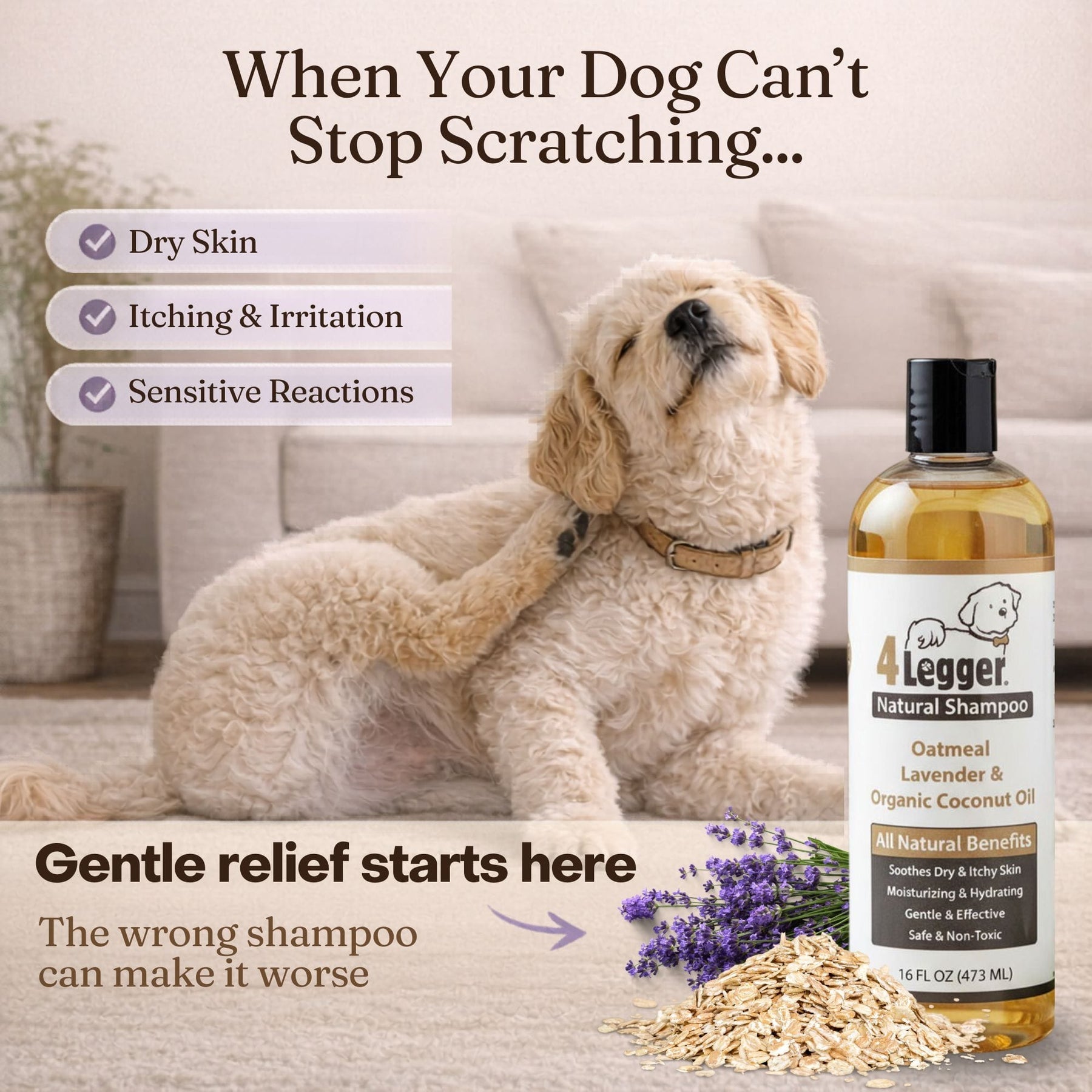 Organic Oatmeal Dog Shampoo with Lavender & Aloe for Itchy Skin