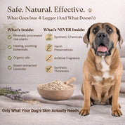 Organic Oatmeal Dog Shampoo with Lavender & Aloe for Itchy Skin