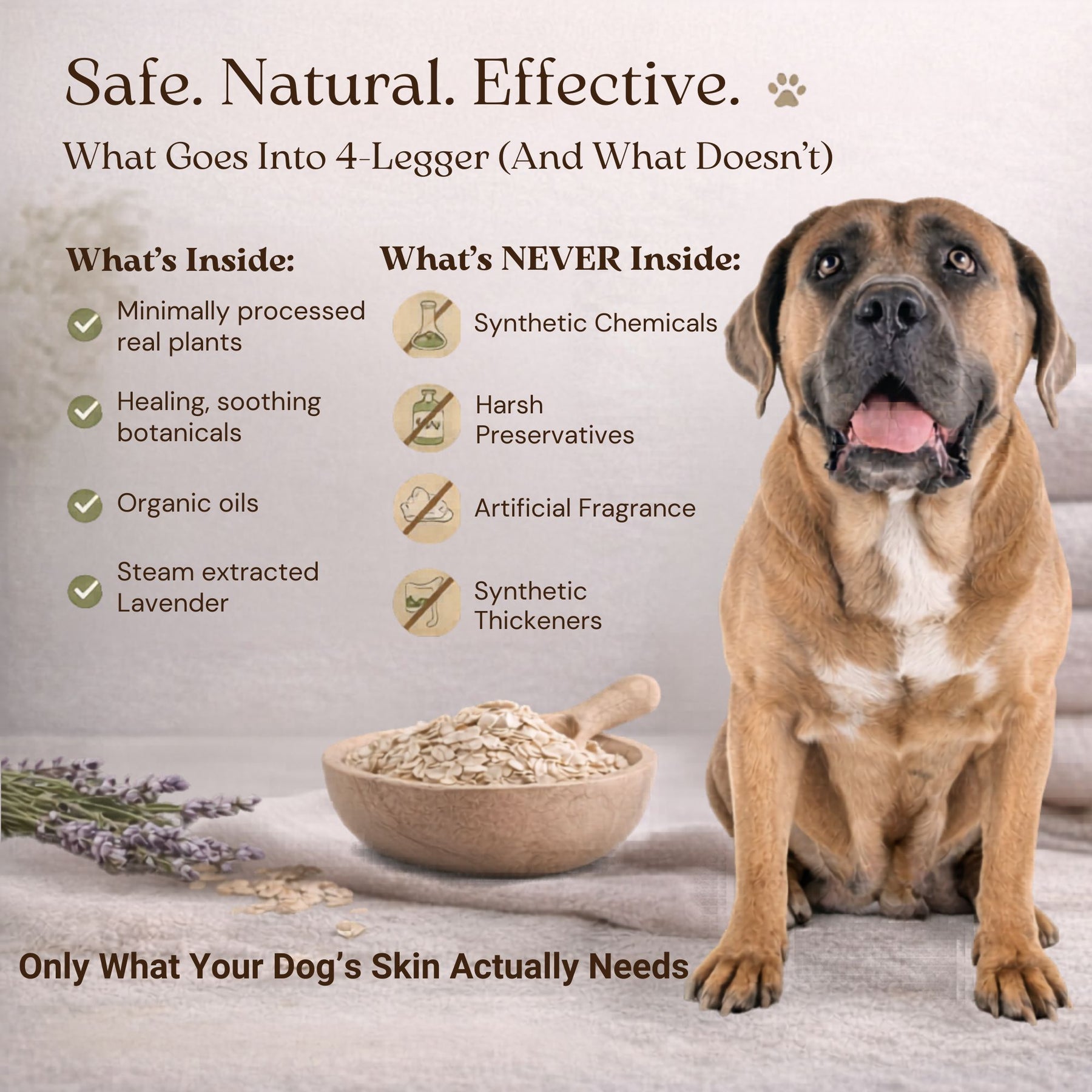 Organic Oatmeal Dog Shampoo with Lavender & Aloe for Itchy Skin