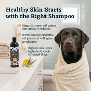 REVITALIZE - Organic Neem Dog Shampoo w/ Sweet Orange Essential Oil