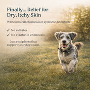 MOISTURIZE - Organic Lemongrass & Hemp Dog Shampoo for Dry, Itchy Skin