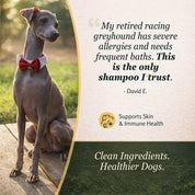 MOISTURIZE - Organic Lemongrass & Hemp Dog Shampoo for Dry, Itchy Skin