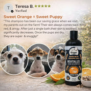 REVITALIZE - Organic Neem Dog Shampoo w/ Sweet Orange Essential Oil