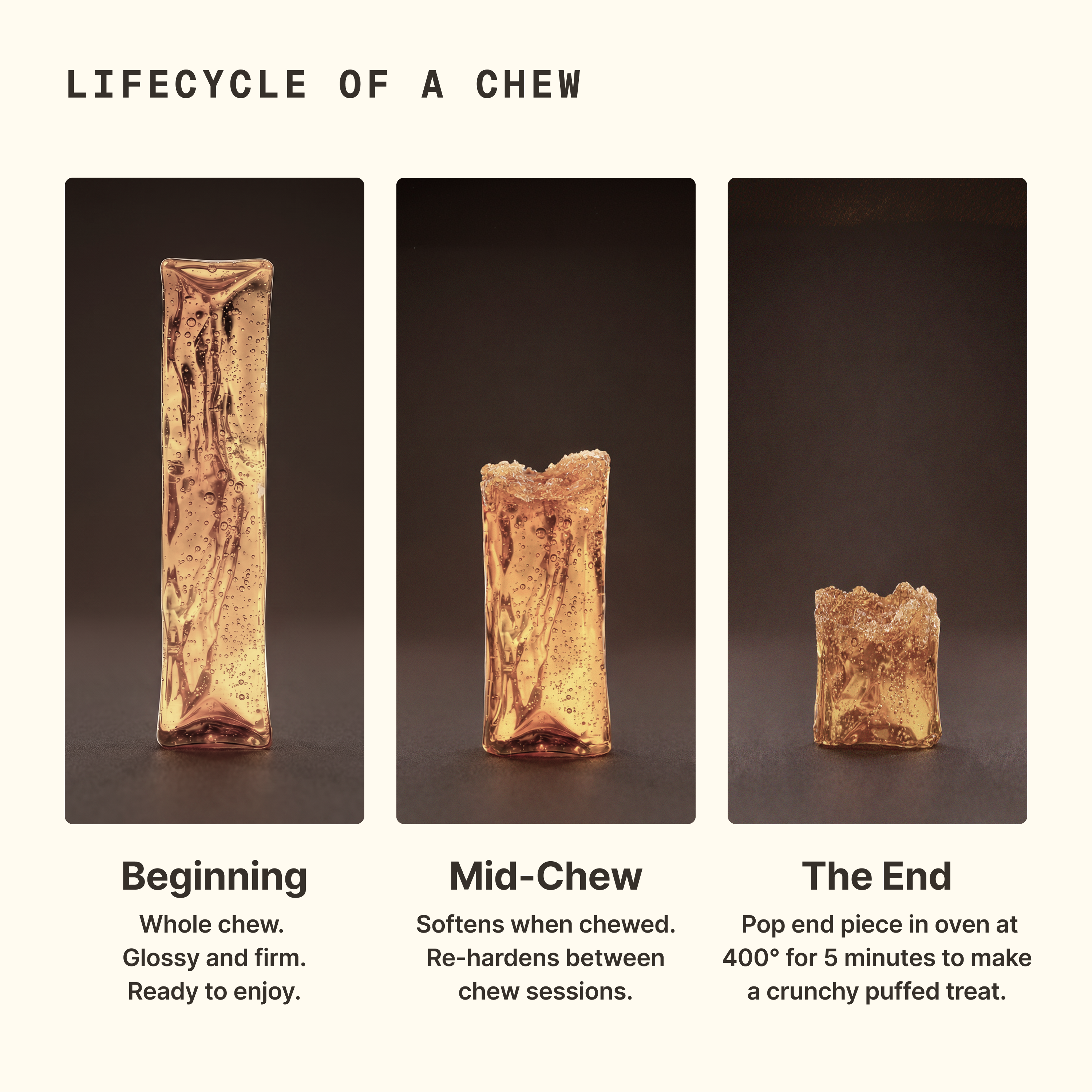 The Bone Broth Chew