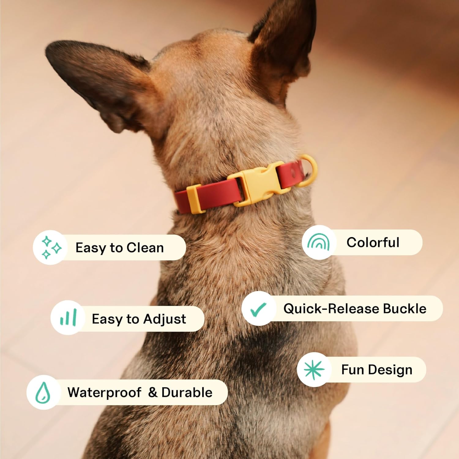 The Fritz Collar