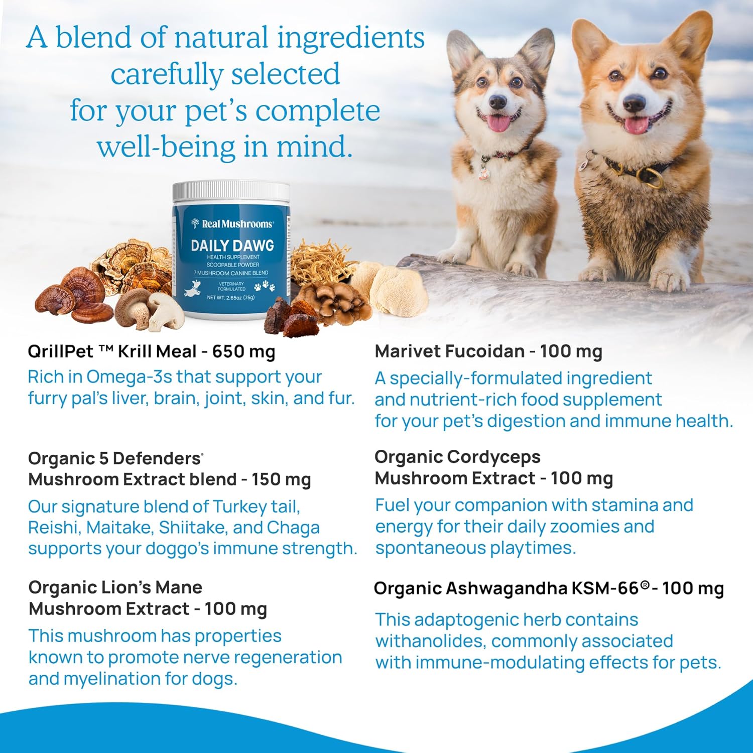 Daily Dawg Powder for Pets