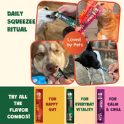 Variety Pack Squeezees